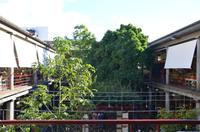 Markthalle von Funchal