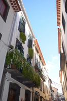 Häuserfassaden in der Rua de Santa Maria