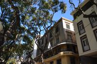 Häuserfassaden in Funchal