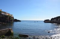 Bucht von Camara de Lobos
