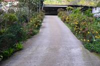 Vorgarten mit Blütenpracht