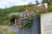 Vorgärten entlang der Levada