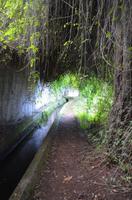 Wanderweg entlang der Levada