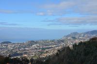 Blick auf Funchal
