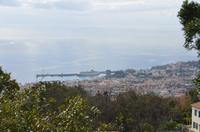 Blick auf Funchal