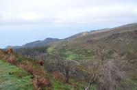 Levada-Wanderung im Nordwesten Madeiras