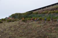 Weg entlang der Photovoltaikanlage