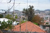 Blick auf Funchal