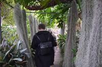 Besuch des Orchideengartens