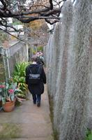 Besuch des Orchideengartens