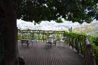 Terrasse des Orchideengartens