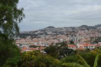 Blick auf Funchal
