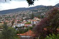 Blick auf Funchal