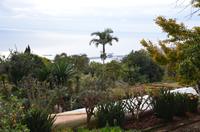 Botanischer Garten Monte