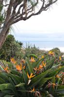 Botanischer Garten Monte