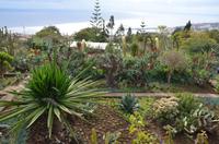 Botanischer Garten Monte