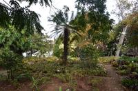 Botanischer Garten Monte