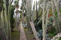 Kakteengarten, Botanischer Garten in Monte