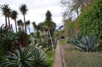 Botanischer Garten Monte