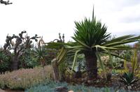 Botanischer Garten Monte