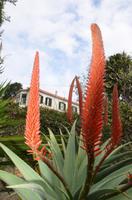 Botanischer Garten Monte