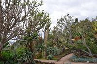 Botanischer Garten Monte