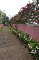 Botanischer Garten Monte