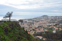 Blick auf Funchal