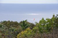 Segelboote vor Funchal