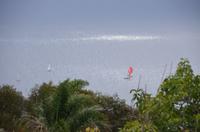 Segelboote vor Funchal
