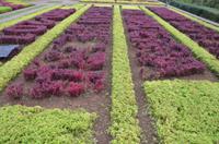 Botanischer Garten Monte