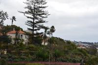 Botanischer Garten Monte