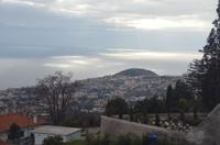 Blick über Funchal