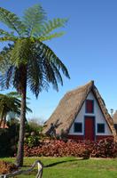 Casa de Colmo in Santana