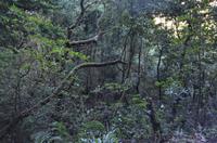 Spaziergang zum Aussichtspunkt Balcoes