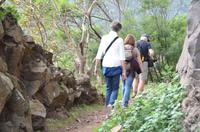 Levada-Wanderung 