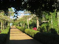 Palheiro Gardens