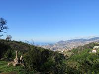 Palheiro Gardens - Blick auf Funchal
