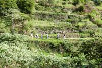 Levadawanderung Macchio am Neujahrstag - Foto: Falk Hohenstein
