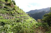 Levadawanderung Macchio am Neujahrstag - Foto: Falk Hohenstein