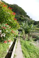 Levadawanderung Macchio am Neujahrstag - Foto: Falk Hohenstein