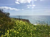 Tag 3 - Steilküste zwischen Burgau und Luz