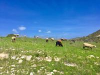 Tag 3 - Torre de Atalaia 