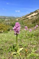 Tag 3 - Torre de Atalaia 