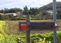 Tag 4 - Via Algarviana Richtung Picota