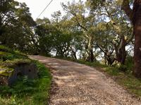 Tag 4 - Weg Richtung Picota