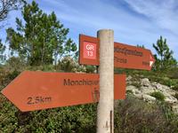 Tag 4 - Weg Richtung Picota