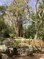 Tag 4 - „Fontes dos Amores“