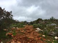 Tag 5 - Weg zum Aussichtspunkt Miradouro Norte