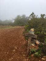 Tag 5 - Pfad zum Gipfel Talefe 